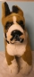 Preview: Hund Boxer sitzend, 30 cm, Stofftier, Plüschtier