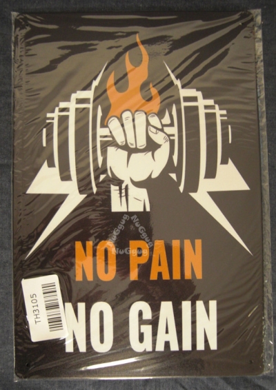 Blechschild "NO PAIN NO GAIN" 20 x 30 cm
