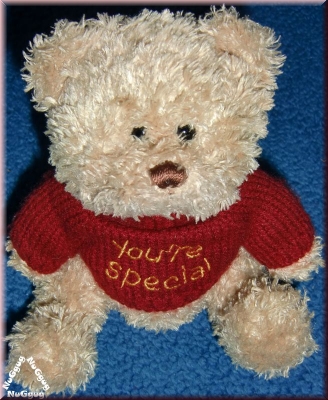 Teddybär "you're special"