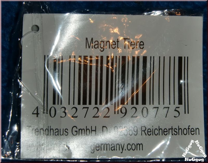 Küchenmagnet. Magnet Tiere Kuh