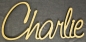Preview: Schriftzug "Charlie", MDF-Platte, Laser-Cut Namen, Türschild
