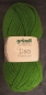 Preview: Wolle Lisa Premium, grün, 50 Gramm, von gründl, Wollknäuel
