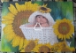 Preview: Puzzle Baby Körbchen & Sonnenblumen, Laura Florini, 68 x 48 cm, vom Bookmark Verlag, 1000 Teile