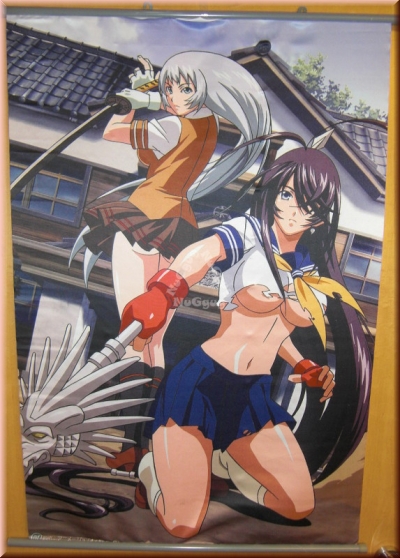 Anime Poster "Kriegerinnen", 58 x 88 cm, Stoff