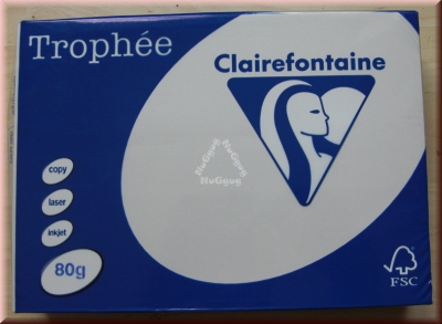 Kopierpapier A4 Clairefontaine Trophée 1788, grau, 80 g/m², 500 Blatt, Druckerpapier