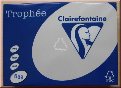 Kopierpapier A4 Clairefontaine Trophée 1993, stahlgrau, 80 g/m², 500 Blatt, Druckerpapier