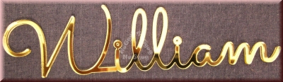 Schriftzug "William", Acryl Laser Cut Namen, Gold, Türschild