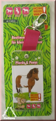 Bestimmungskarten Pferde & Ponys, von Ich weiss was, 26 Stück