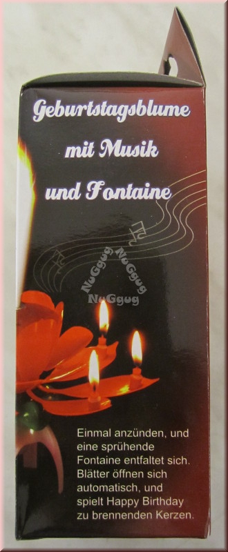 Geburtstagsblume mit Musik und Fontaine, Fontäne