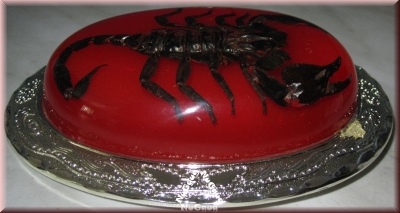 3D-Gürtelschnalle mit echtem Skorpion. Buckle