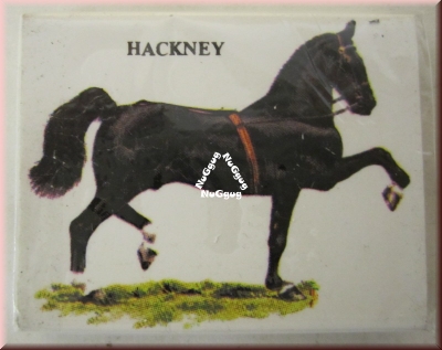 Radiergummi Hackney mit Motiv Pferd