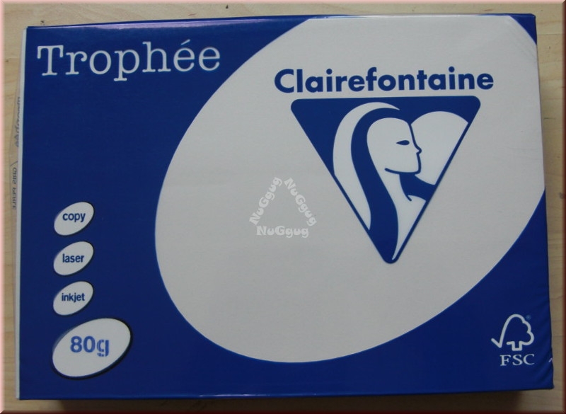 Kopierpapier A4 Clairefontaine Trophée 1788, grau, 80 g/m², 500 Blatt, Druckerpapier