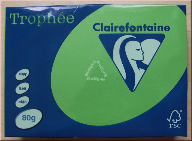 Kopierpapier A4 Clairefontaine Trophée 1875, maigrün, 80 g/m², 500 Blatt, Druckerpapier