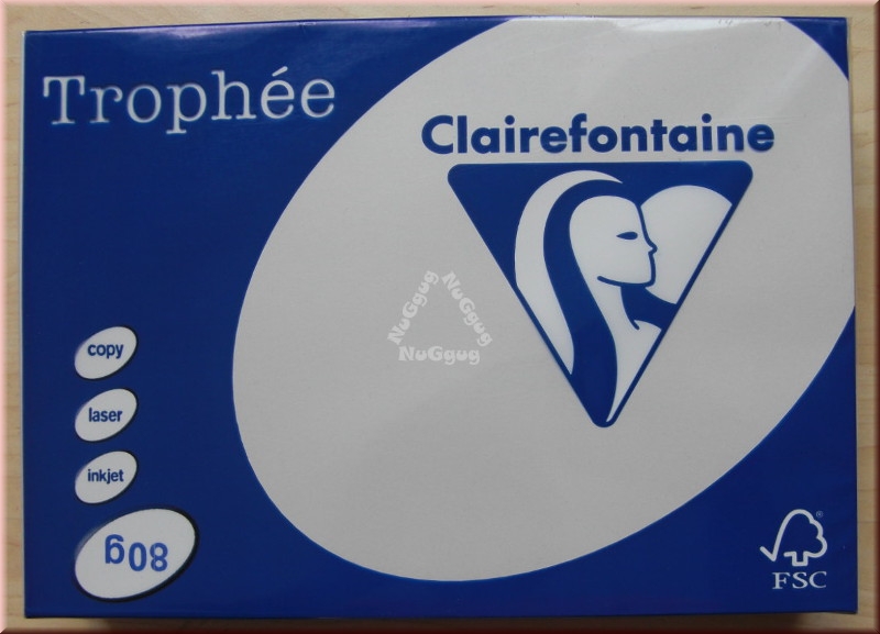 Kopierpapier A4 Clairefontaine Trophée 1993, stahlgrau, 80 g/m², 500 Blatt, Druckerpapier
