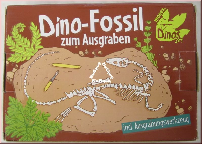 Dino-Fossil zum Ausgraben von Moses