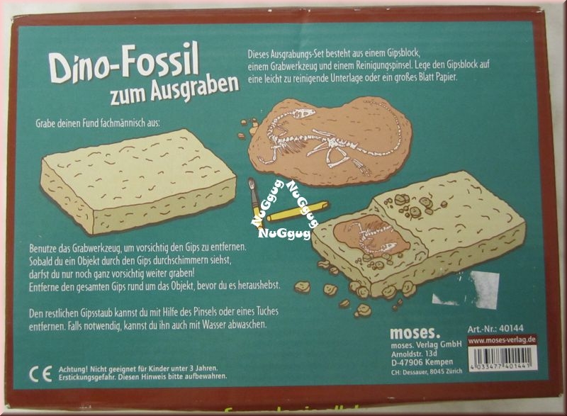 Dino-Fossil zum Ausgraben von Moses