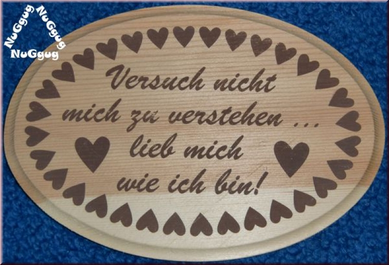 Wandhänger aus Holz. Holzschild "Versuch nicht..."