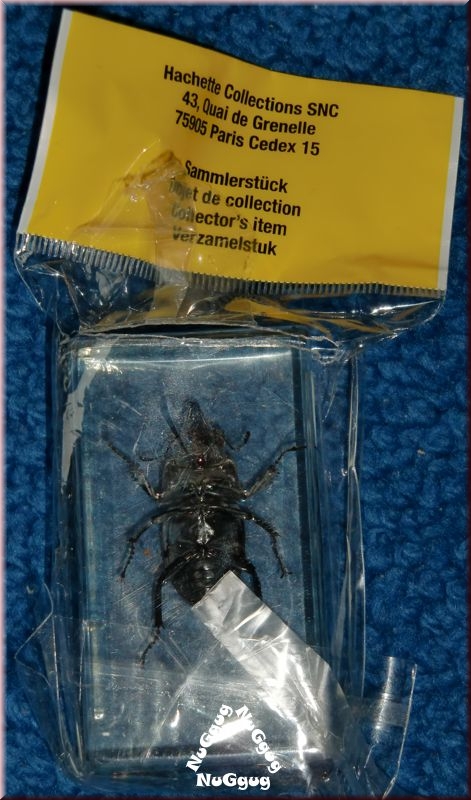 keine Mini Biester Sammler-Set Präparate in Kunstharz T-SET-002 Echte Käfer