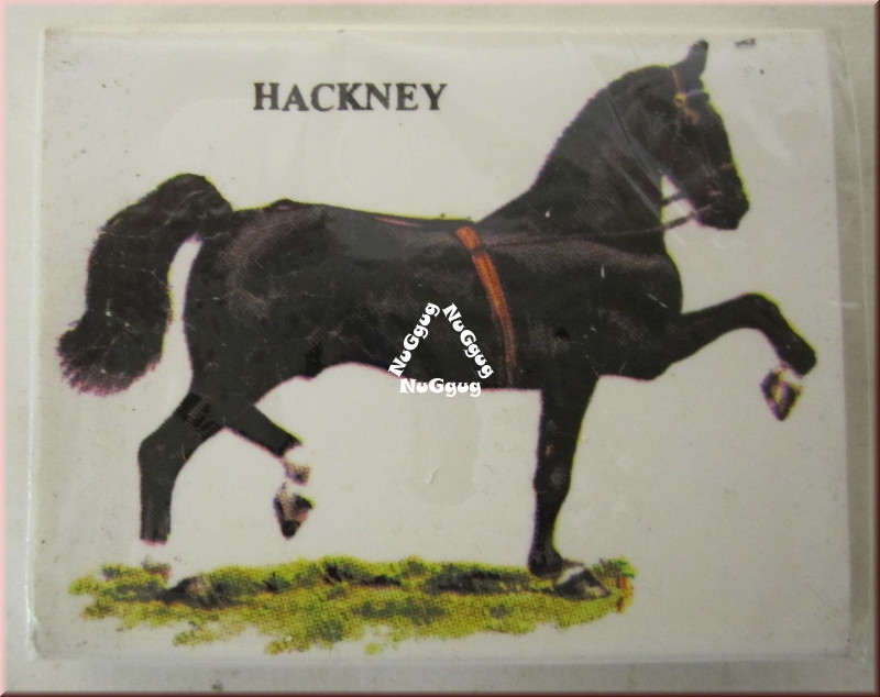 Radiergummi Hackney mit Motiv Pferd