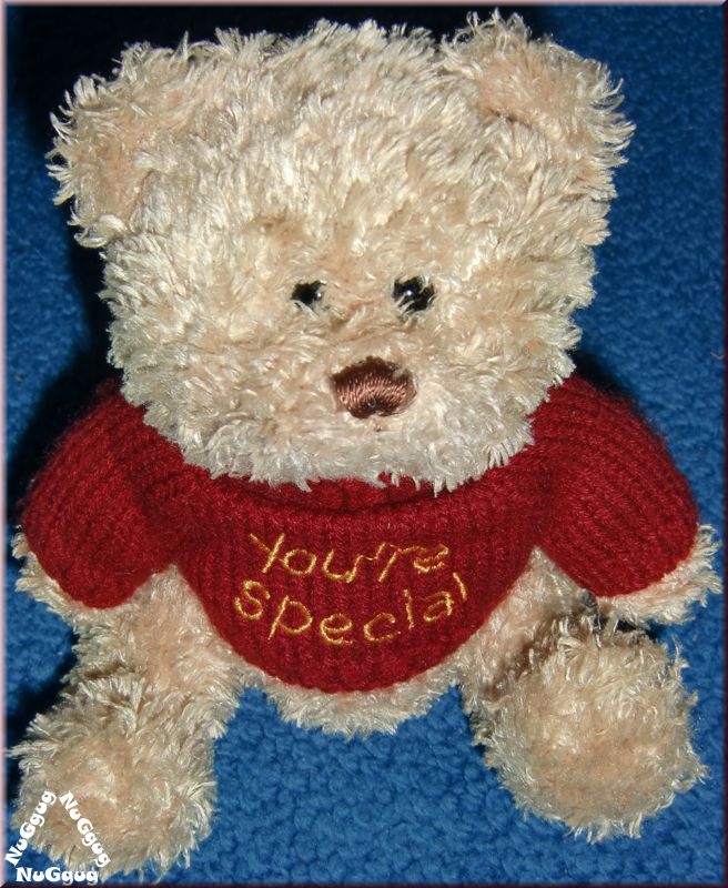 Teddybär "you're special"