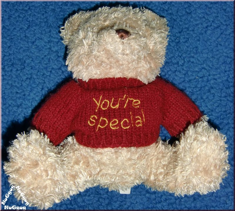 Teddybär "you're special"