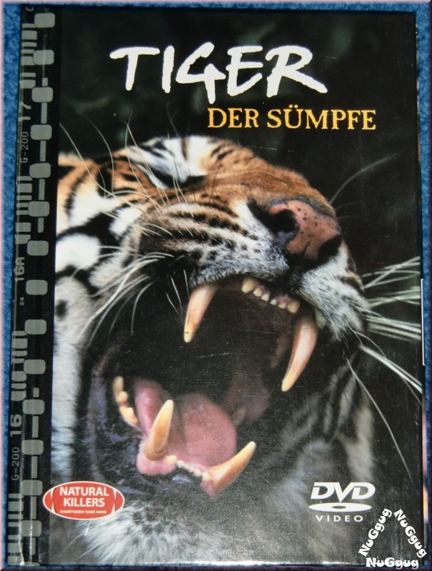 Tiger der Sümpfe