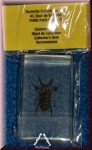 Mini Biester von Hachette. Käfer grün