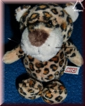 Nici 28100. Leopard Schlenker